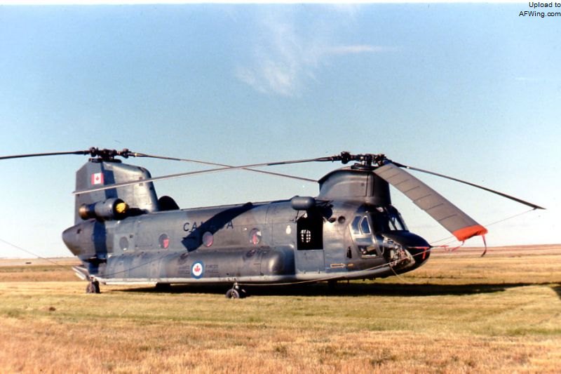 CH-147退役后统统卖给了荷兰