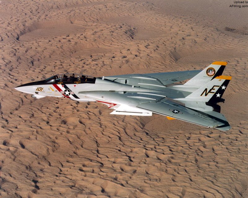 F-14是纽约长岛格鲁曼&ldquo;钢铁厂&rdquo;锻造出的一头野兽，&ldquo;雄猫&rdquo;很大，长19.1米，高4.87米，机翼展开时翼展19.54米，比有些支线客机都大