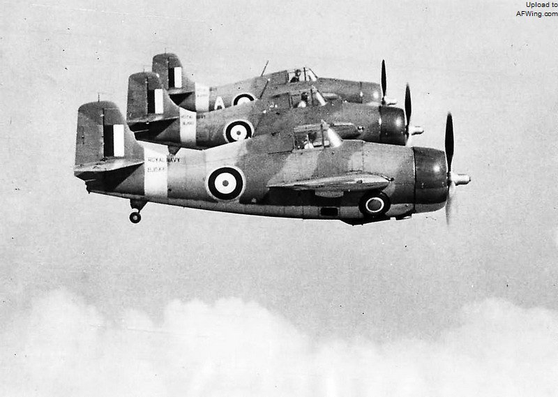 Grumman Martlet Mk.I，804海军航空队，1940年。关于Martlet的名称，一般翻译为&ldquo;岩燕&rdquo;。而Martlet的实际意义则来源于欧洲中世纪的无足鸟传说，传说这种鸟毕生飞行，和风而眠，一生仅落下一次，便是其死亡之时，因其坚韧不拔的精神，其常常作为欧洲家族的家纹而使用。后文为了统一介绍，在1944年亦正式更名&ldquo;野猫&rdquo;之前均按照翻译惯例称呼其为&ldquo;岩燕&rdquo;