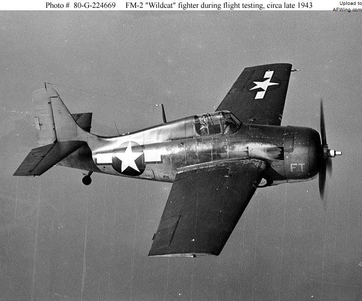 FM-2&ldquo;野猫&rdquo;早期飞行测试机