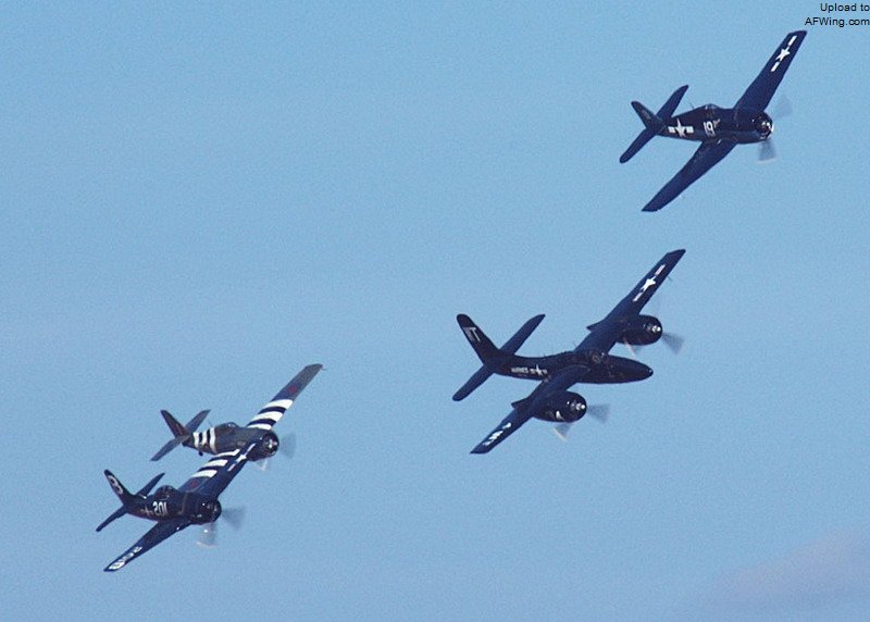 &ldquo;熊猫&rdquo;F8F（左）、&ldquo;野猫&rdquo;FM-2（左2）、虎猫F7F（右）和&ldquo;地狱猫&rdquo;F6F（右上）