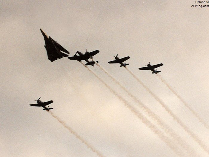 F-14雄猫与它的四位猫爷爷&mdash;&mdash;&ldquo;野猫&rdquo;FM-2、&ldquo;地狱猫&rdquo;F6F、&ldquo;熊猫&rdquo;F8F、虎猫F7F一起飞行