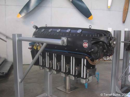 he219-uhu-img1_2328.jpg