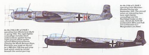 he219-uhu-img4_3934.jpg