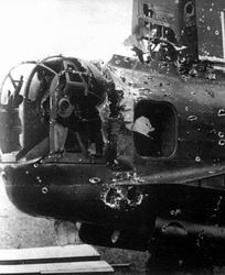 he219-uhu-img4_6529.jpg