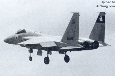 奥佛&bull;拉比多座机刺猬2号，F-15A 658