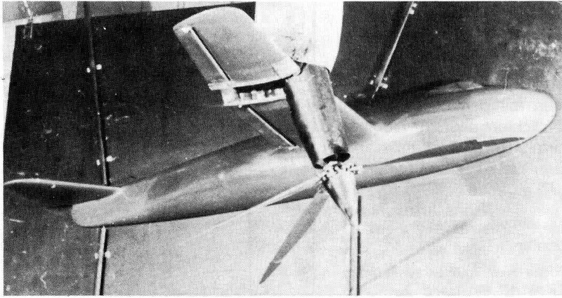 Fa 269风洞模型