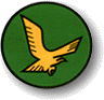 140“金鹰”(希伯来文:הזהב נשר,英文:The Golden Eagle)中队队徽,此中队此中队现装备F-16A/B雀鹰,隶属内瓦蒂姆基地28联队