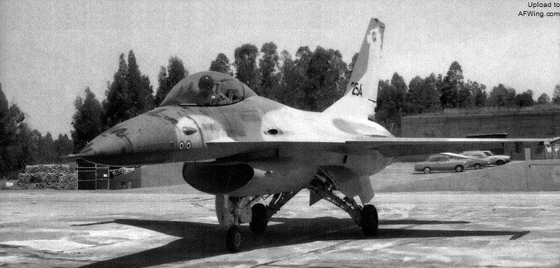 移交给110中队后的F-16A雀鹰254，垂尾上的新涂装由110中队的飞行员阿尔农.克雷默（Arnon Kremer）设计并一直沿用至今