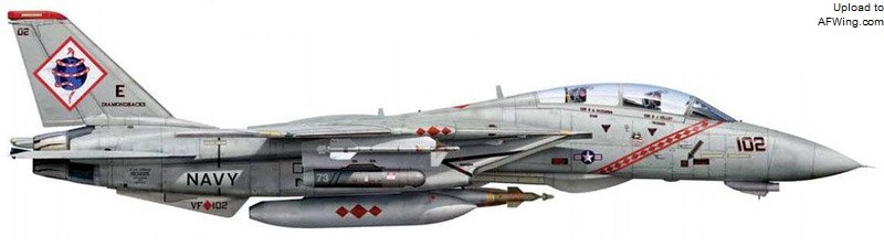 F-14B 163225/AB102，VF-102中队&ldquo;菱纹背响尾蛇&rdquo;，西奥多.罗斯福号，2002年3月